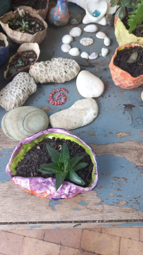 Stones in a garden at Clay Magic Pottery Studio